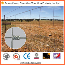 Hot Dipped Galvanized Field Cattle Fence for Sale